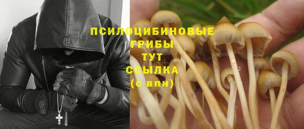 прущие крисы Алзамай