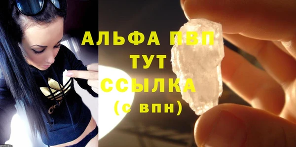 крисы Абаза