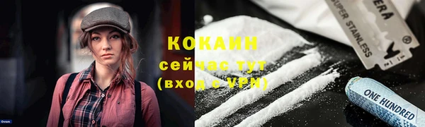 крисы Абаза