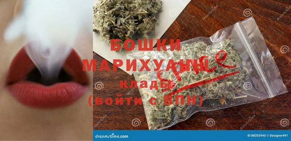 крисы Абаза