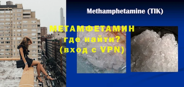 прущие грибы Нея